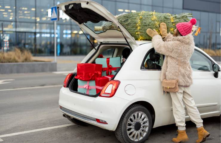 coppia spesa auto