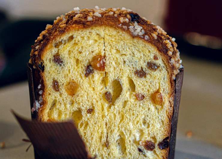 panettone