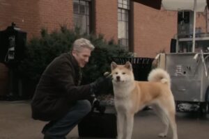 hachiko film