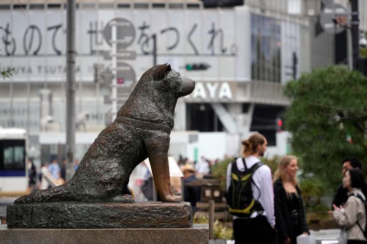 statua Hachiko